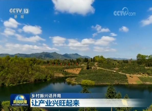 1517820899566335.jpg 微信图片03.jpg