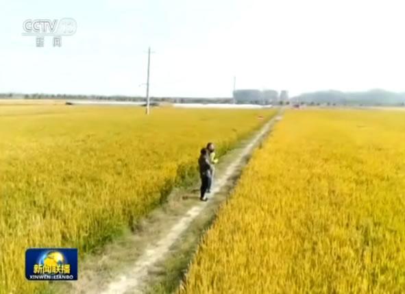 1517820971494906.jpg 微信图片05.jpg